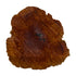 Copy of Red Mallee Burl Cookies 9" x 6" x 1-1/2" | 1.7 lbs - 