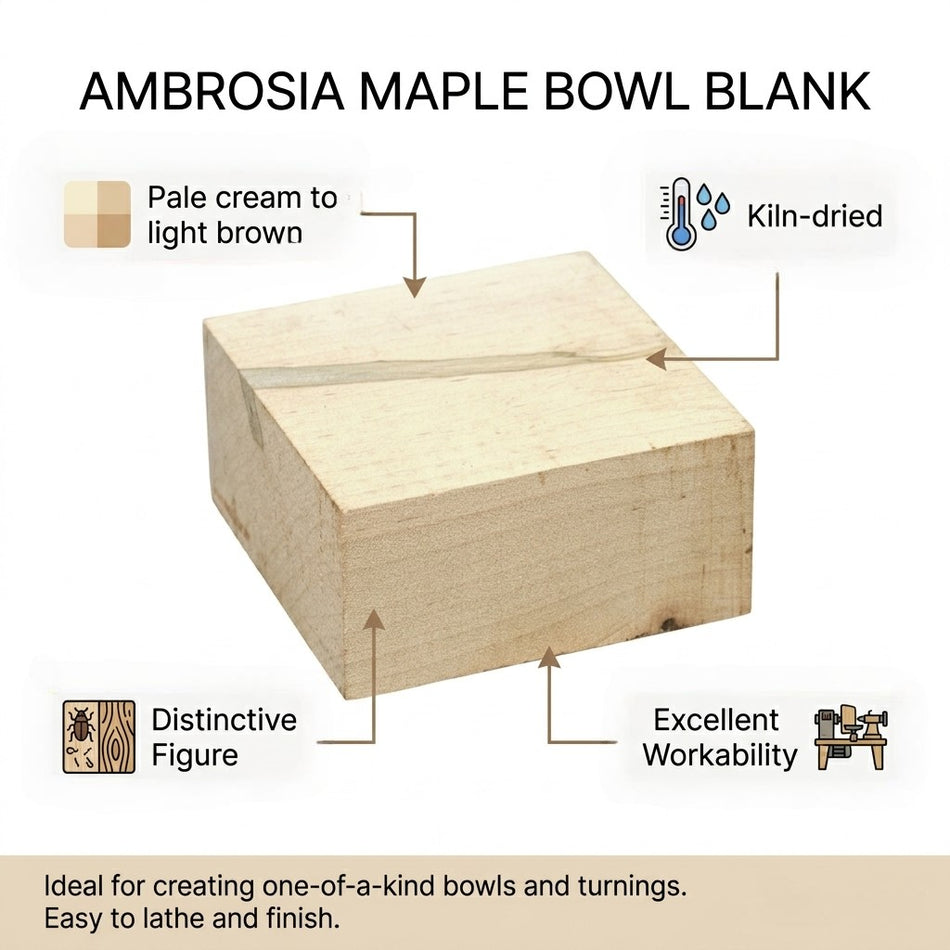 Ambrosia Maple Bowl Blank for Woodturning Projects
