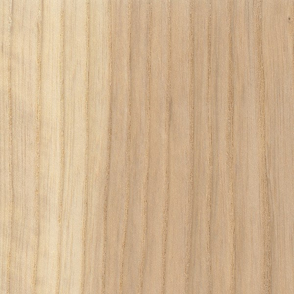 Swamp Ash Guitar Bracewood Blank - Exotic Wood Zone - Buy online Across USA 