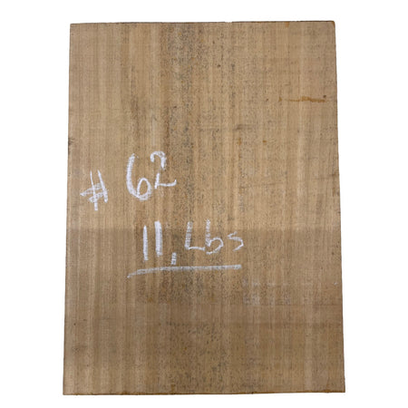 African Swamp Ash/Ayous Electric/Bass Guitar Single Piece Wood Body Blanks 21.5″ x 15-3/4″ x 2-1/4″ #62 - Exotic Wood Zone - Buy online Across USA 