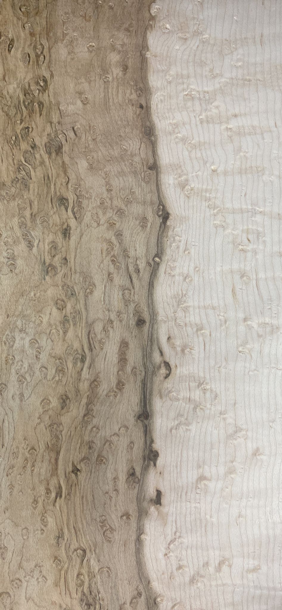 Birdseye Maple Lumber Board - 3/4&quot; x 6&quot; (2 Pieces) - Exotic Wood Zone - Buy online Across USA 