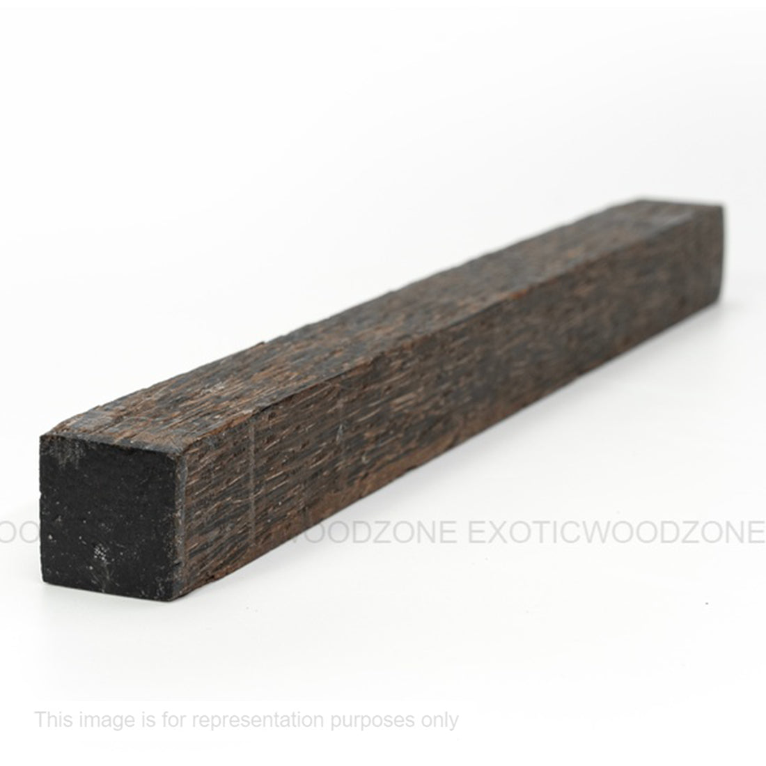 Black Palm Hobbywood Blank