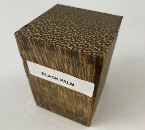 Black Palm Pack of 6, Bottle Stopper Blanks  2” x 2” x 3” - Exotic Wood Zone - Buy online Across USA 