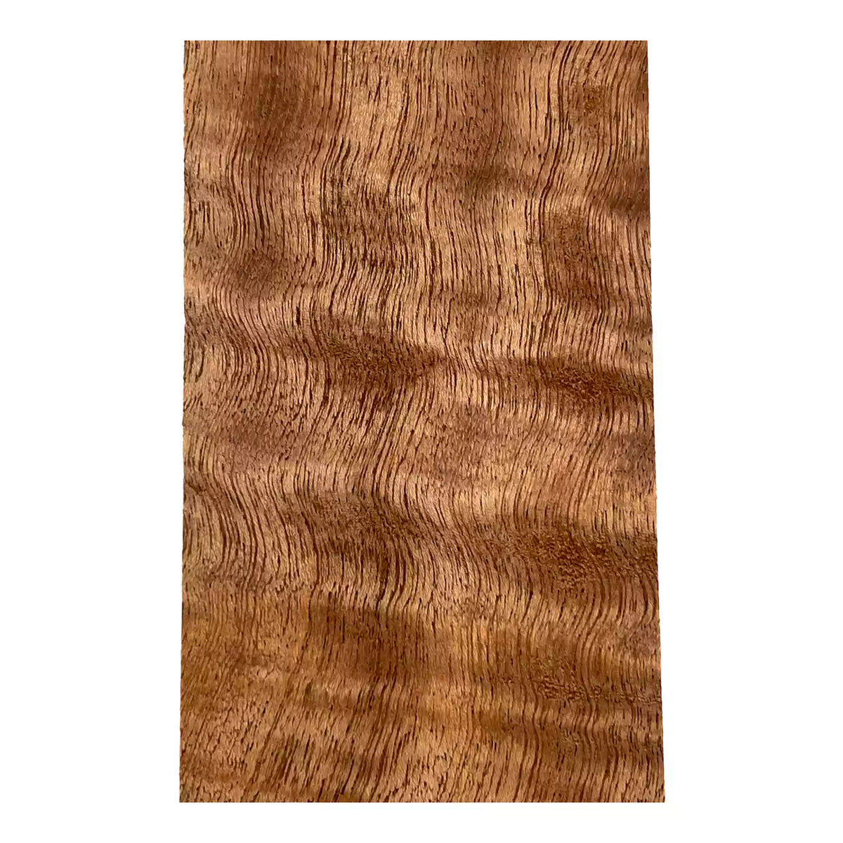 Quilted Curly Sapele Guitar Fingerboard Blank - Exotic Wood Zone - Buy online Across USA 