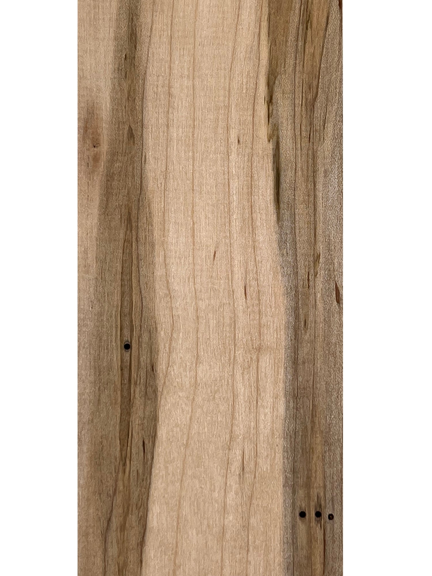 Ambrosia Maple Guitar Fingerboard Blank - Exotic Wood Zone - Buy online Across USA 