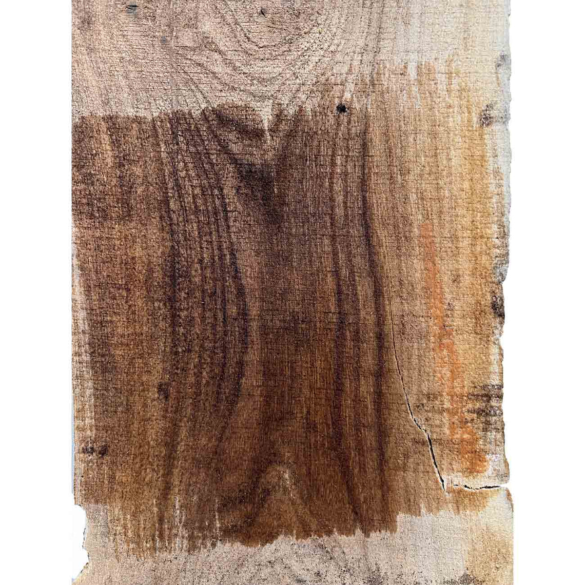 Beautiful Honey Locust Live Edge Slab - 62"x 6" x 1-3/8" #306 - Exotic Wood Zone - Buy online Across USA 