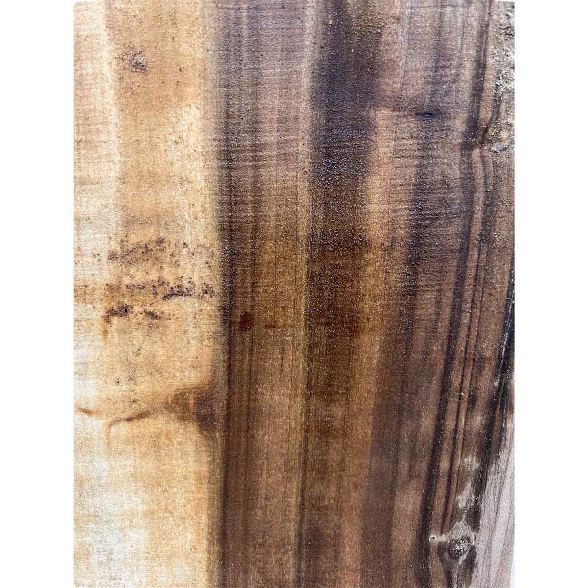 Beautiful Honey Locust Live Edge Slab - 68"x19"x1-3/4 #310 - Exotic Wood Zone - Buy online Across USA 