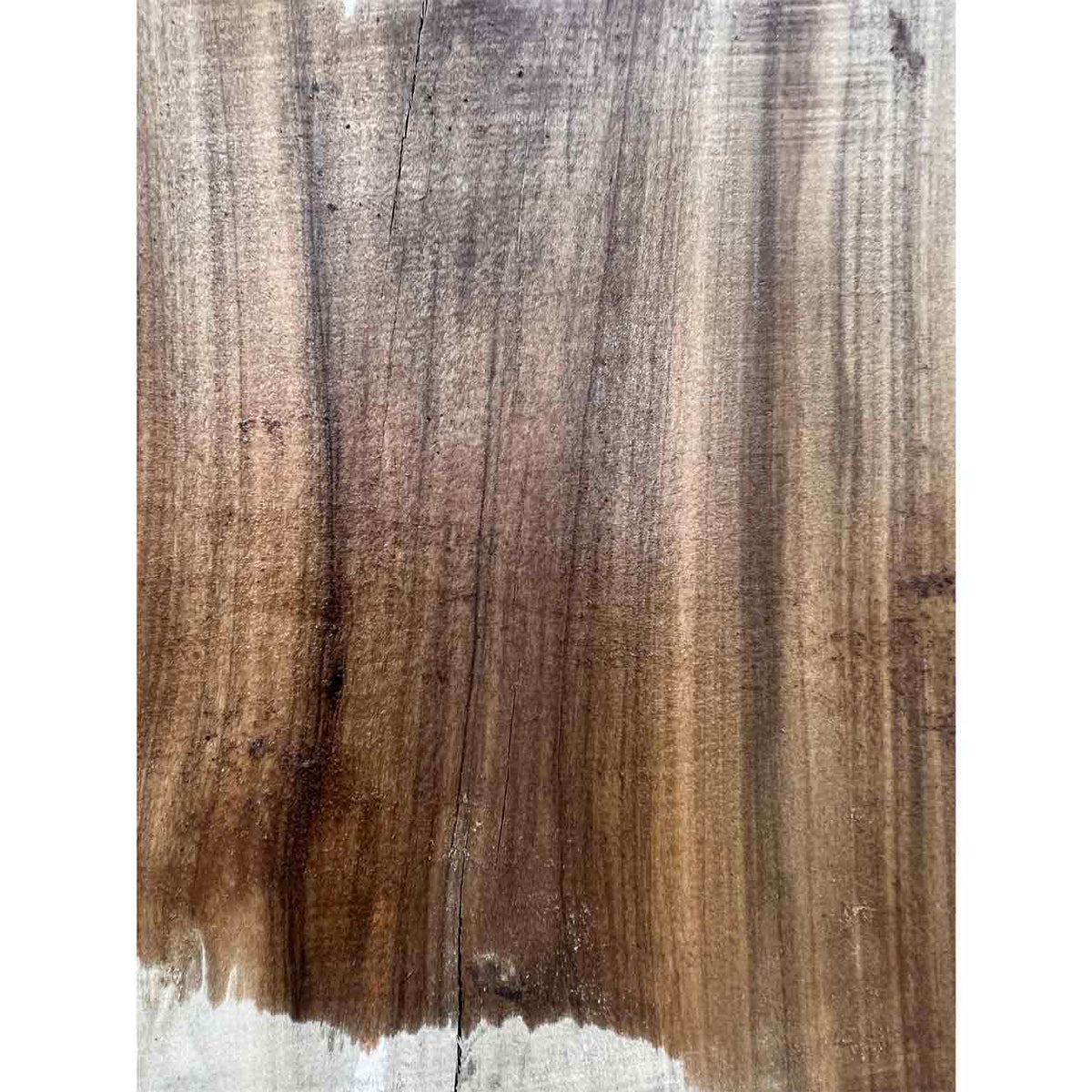 Beautiful Honey Locust Live Edge Slab - 71"x18"x1-7/8" #312 - Exotic Wood Zone - Buy online Across USA 