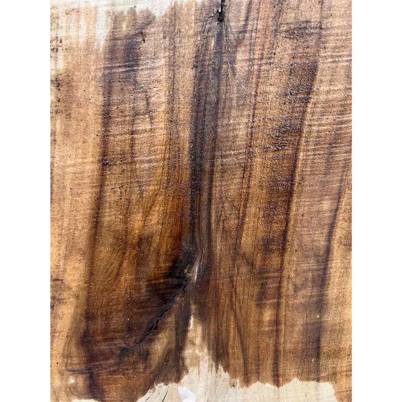 Beautiful Honey Locust Live Edge Slab - 67"x18'x1-7/8"  #313 - Exotic Wood Zone - Buy online Across USA 