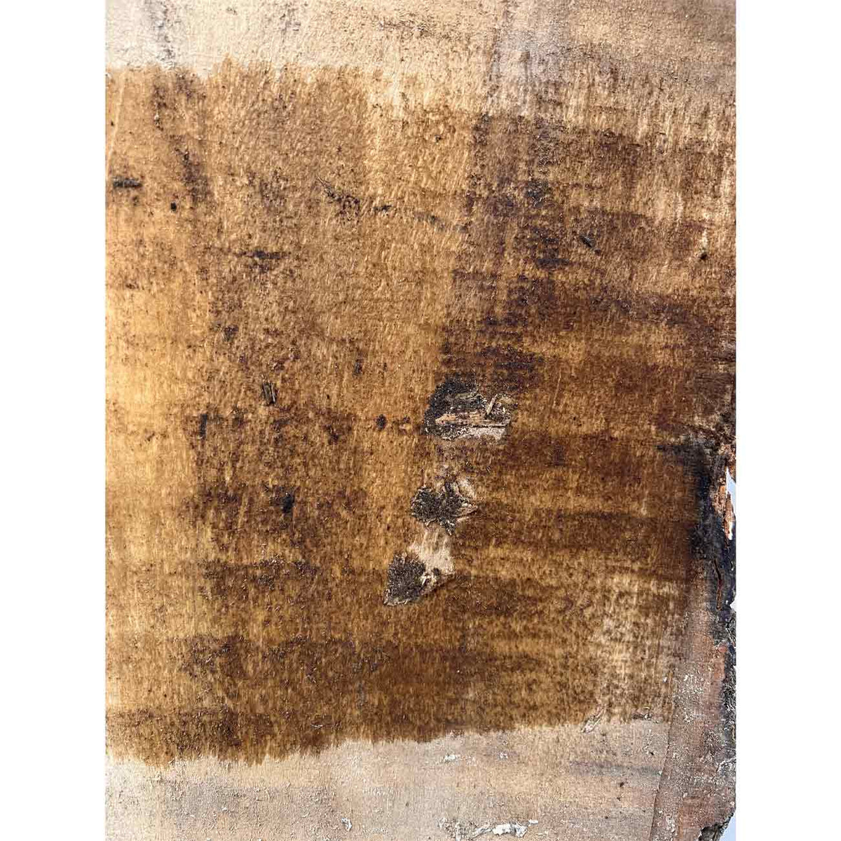 Beautiful Honey Locust Live Edge Slab - 69"x 7"x 1-7/8", #327 - Exotic Wood Zone - Buy online Across USA 