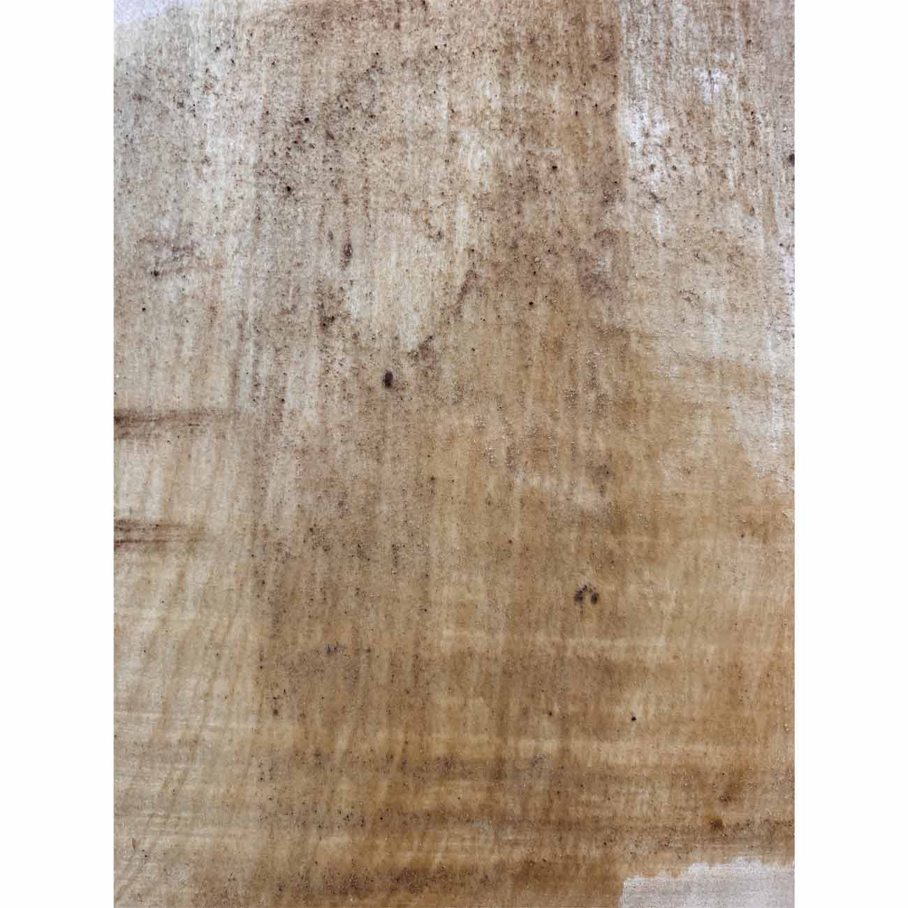 Beautiful Honey Locust Live Edge Slab - 69"x 17"x 2", #331 - Exotic Wood Zone - Buy online Across USA 