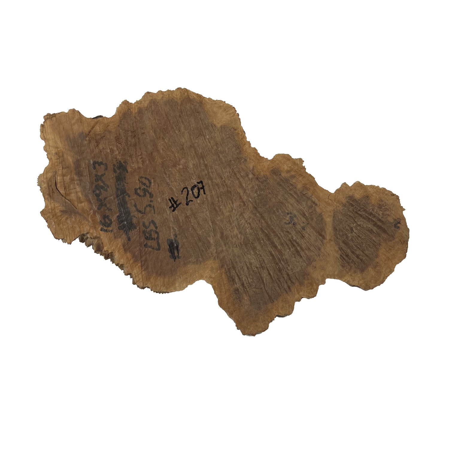 Red Coolibah Burl  | 16" x 9" x 3"| 5.5 lbs | #207 - Exotic Wood Zone - Buy online Across USA 