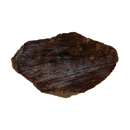 Red Coolibah Burl  | 8-1/4" x 5" x 3"| 8.75 lbs | #211 - Exotic Wood Zone - Buy online Across USA 