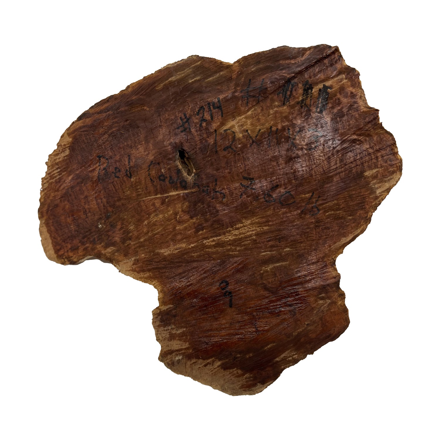 Red Coolibah Burl  | 12" x 11" x 3"| 7.6lbs | #214 - Exotic Wood Zone - Buy online Across USA 