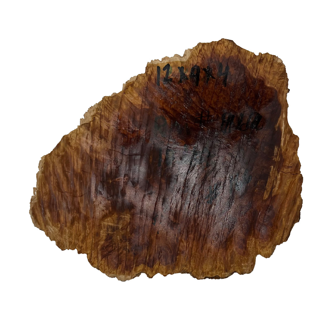 Red Mallee Burl | 12&quot; x 9&quot; x 4&quot; | 10 Lbs  