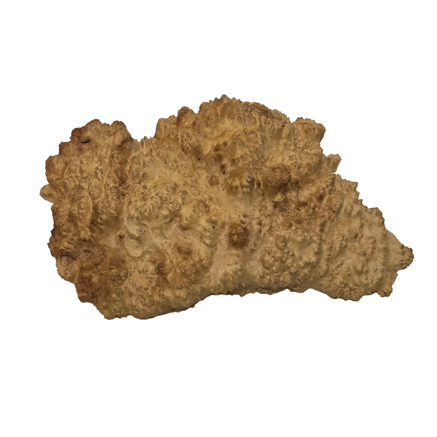 Red Mallee Burl | 16&quot; x 9&quot;x 3&quot; | 7 Lbs  