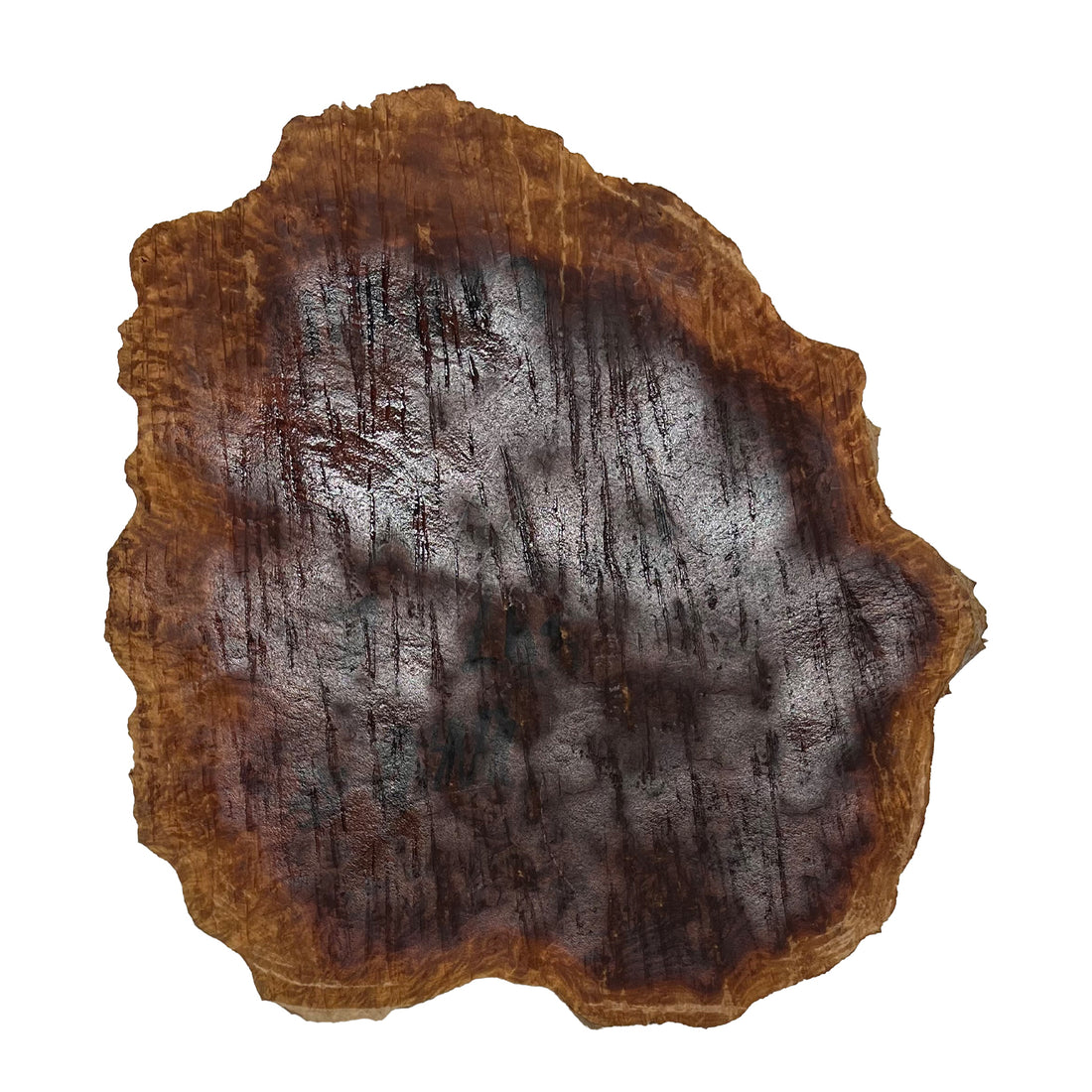 Red Mallee Burl | 11&quot;x 11&quot;x 3&quot; | 7 Lbs  