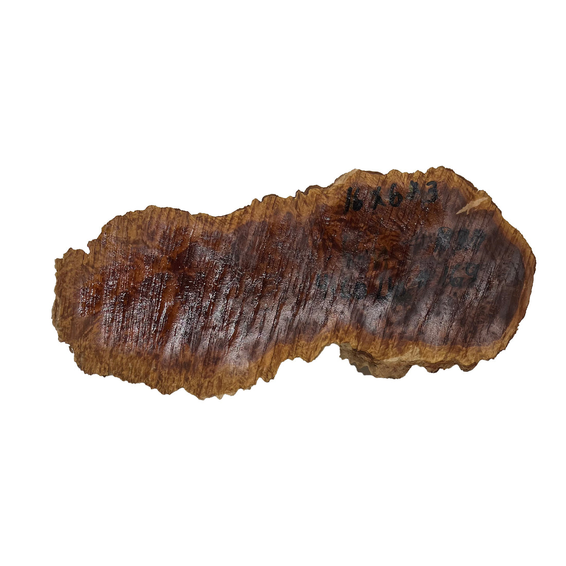 Red Mallee Burl | 16&quot; x 6&quot; x 3&quot; | 4.6  Lbs  