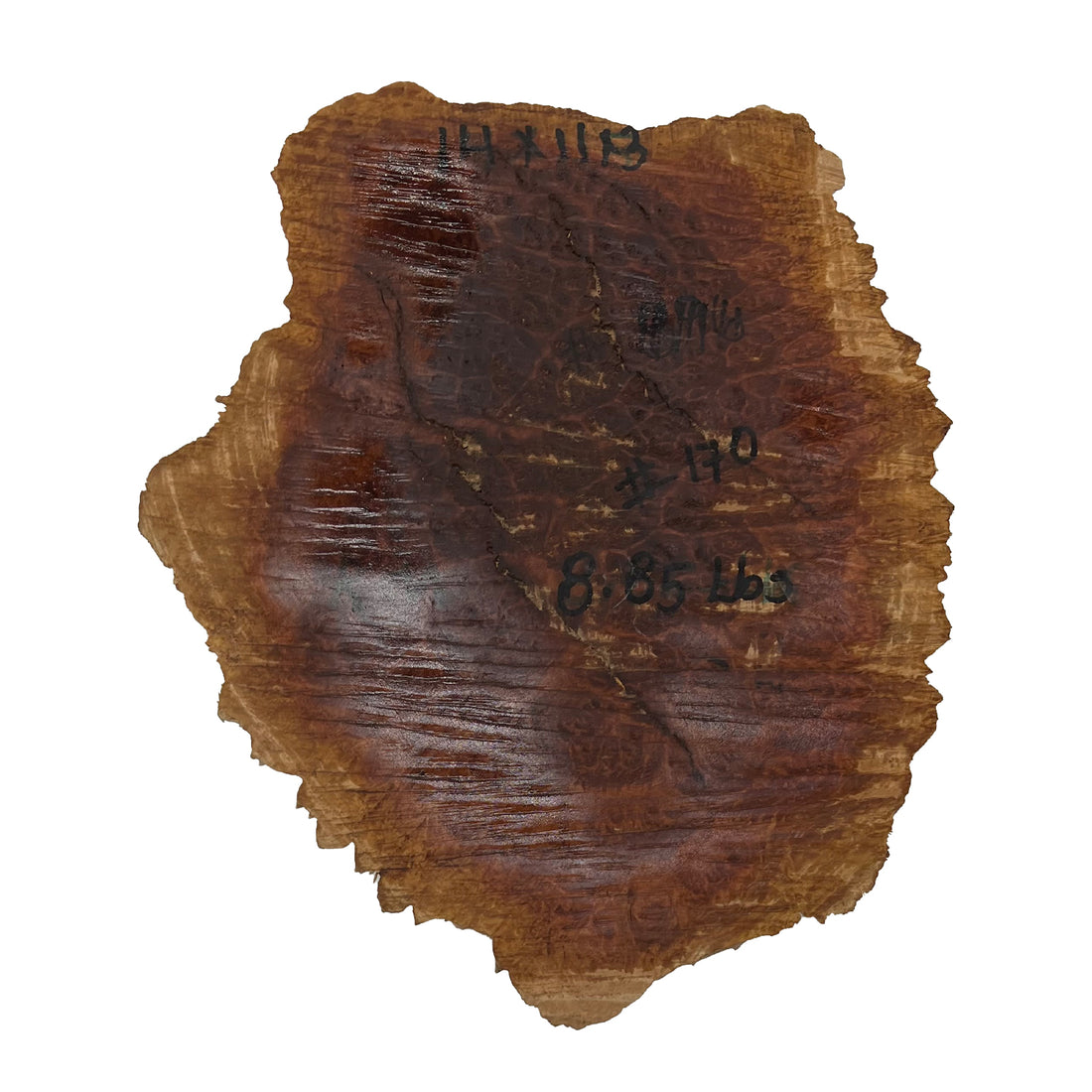 Red Mallee Burl | 14&quot; x 11&quot; x 3&quot; | 8.85 Lbs 