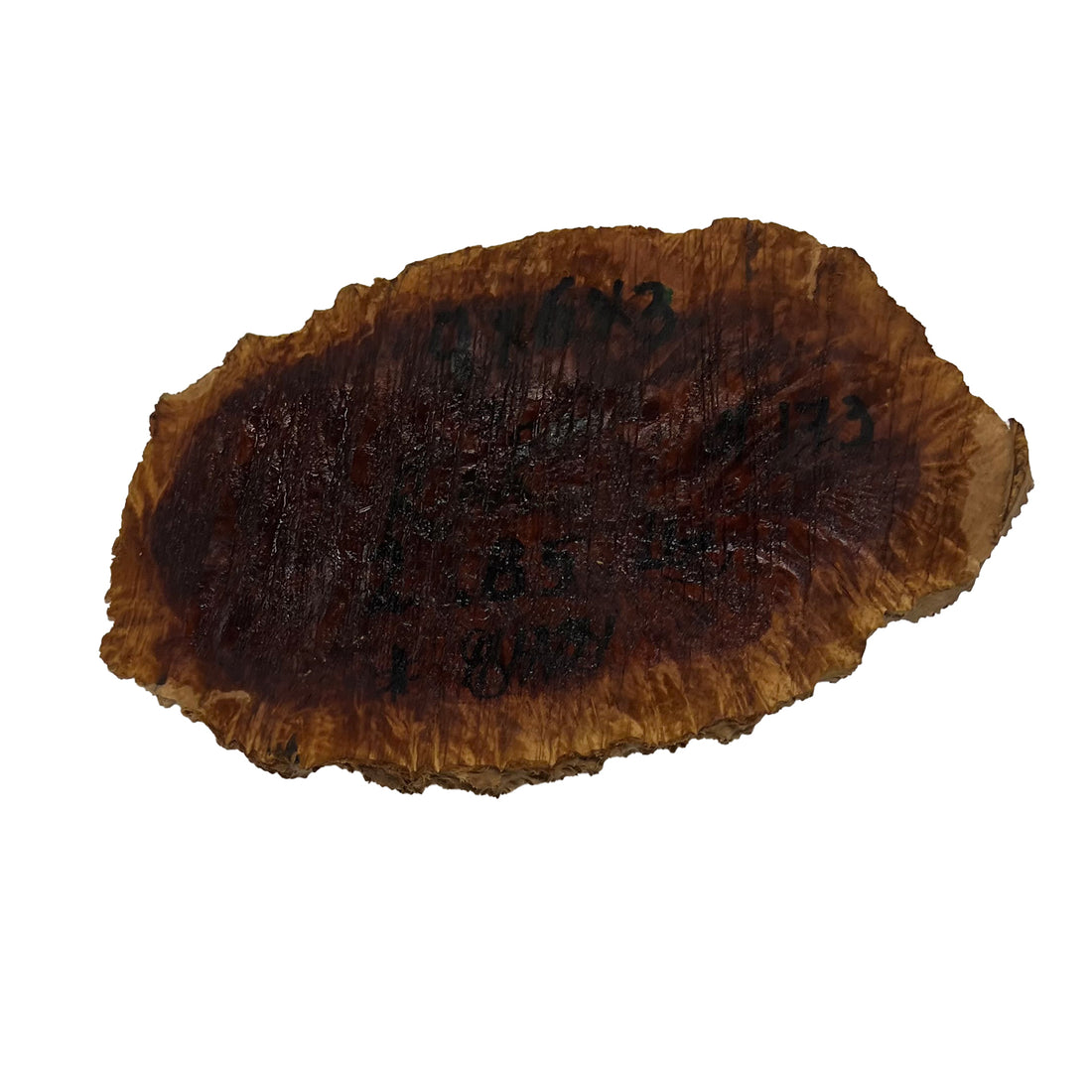 Red Mallee Burl | 9&quot;x 6&quot;x 3&quot; | 2.85 Lbs 