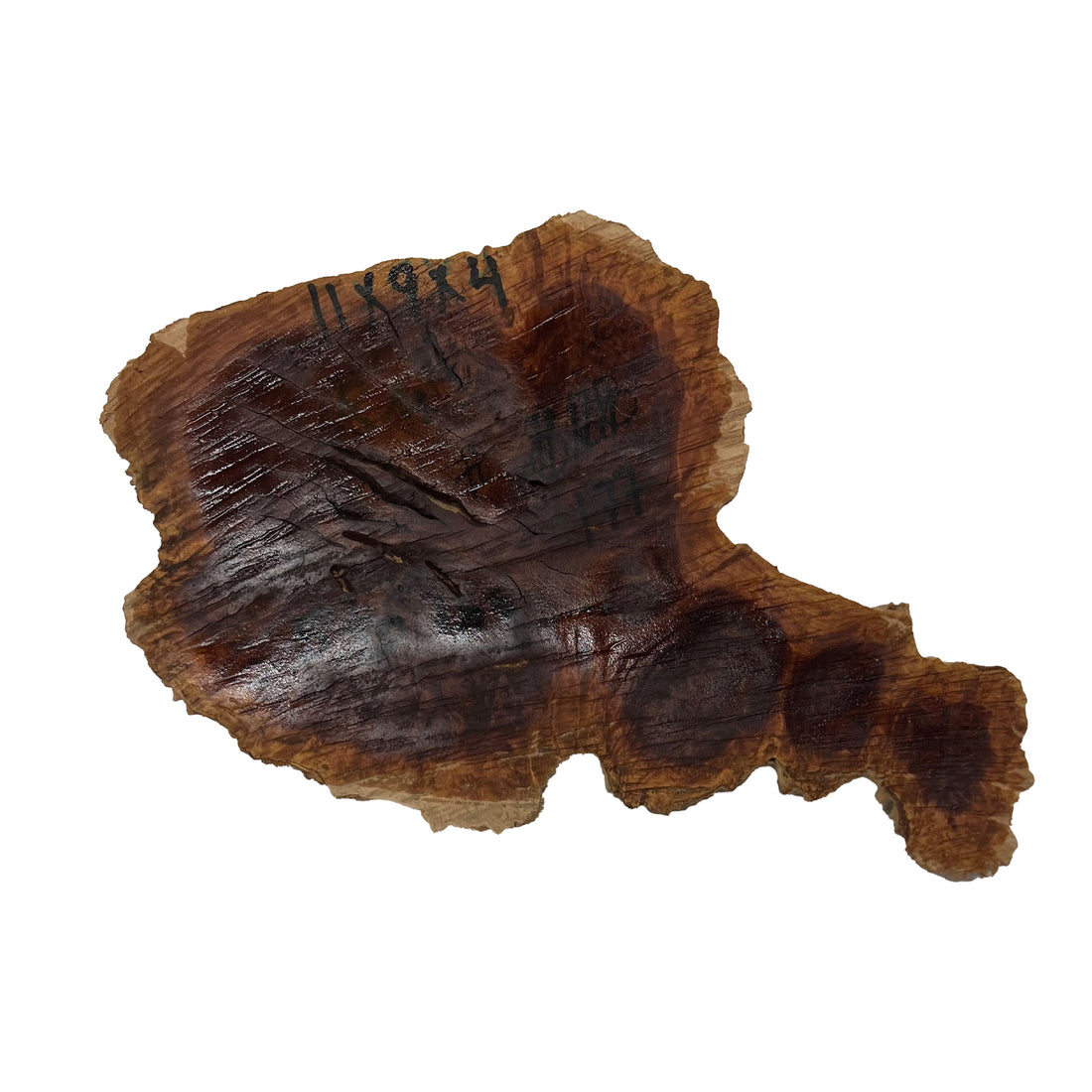 Red Mallee Burl | 11&quot;x 9&quot;x 4&quot;| 5.2 Lbs 