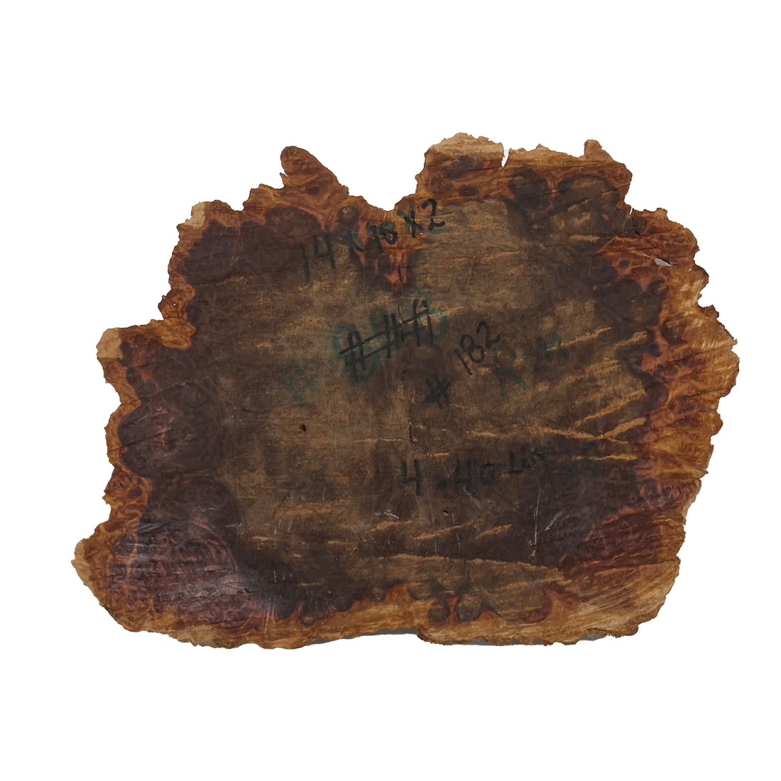 Red Mallee Burl | 14&quot;x 10&quot;x 2&quot; | 4.4 Lbs 