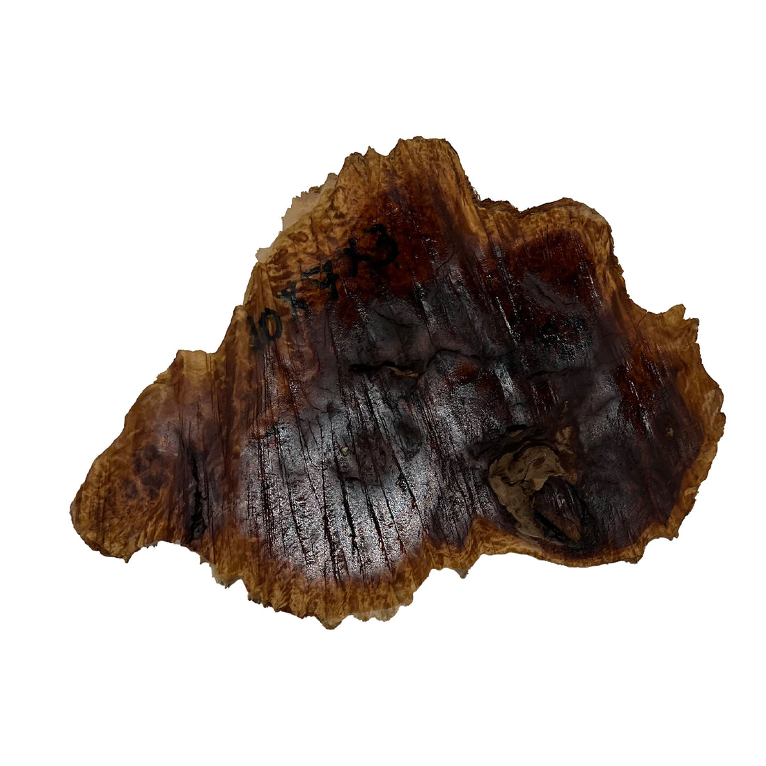 Red Mallee Burl | 10&quot;x 7&quot;x 3&quot; | 3.15 Lbs 