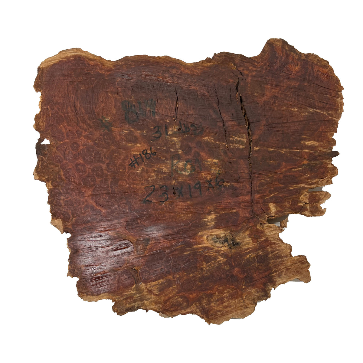 Red Mallee Burl | 23"x19"x6" | 31 Lbs #186 - Exotic Wood Zone - Buy online Across USA 