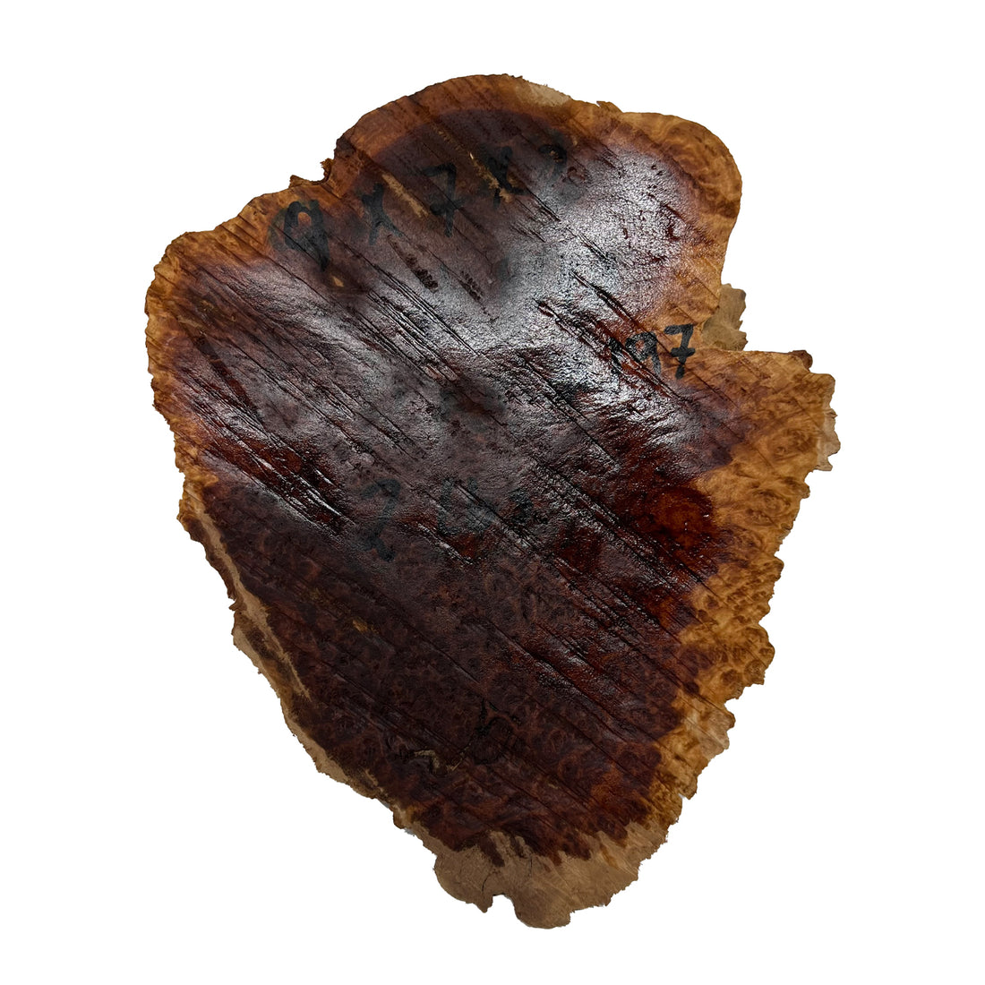Red Mallee Burl | 9&quot;x 7&quot;x 2&quot; | 2 Lbs 