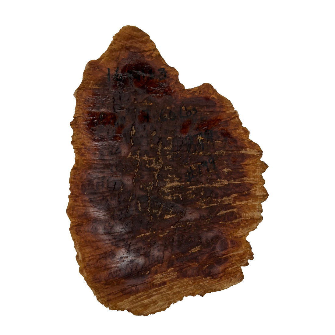 Red Mallee Burl | 16&quot;x 11&quot;x 3&quot; | 7.6 Lbs 