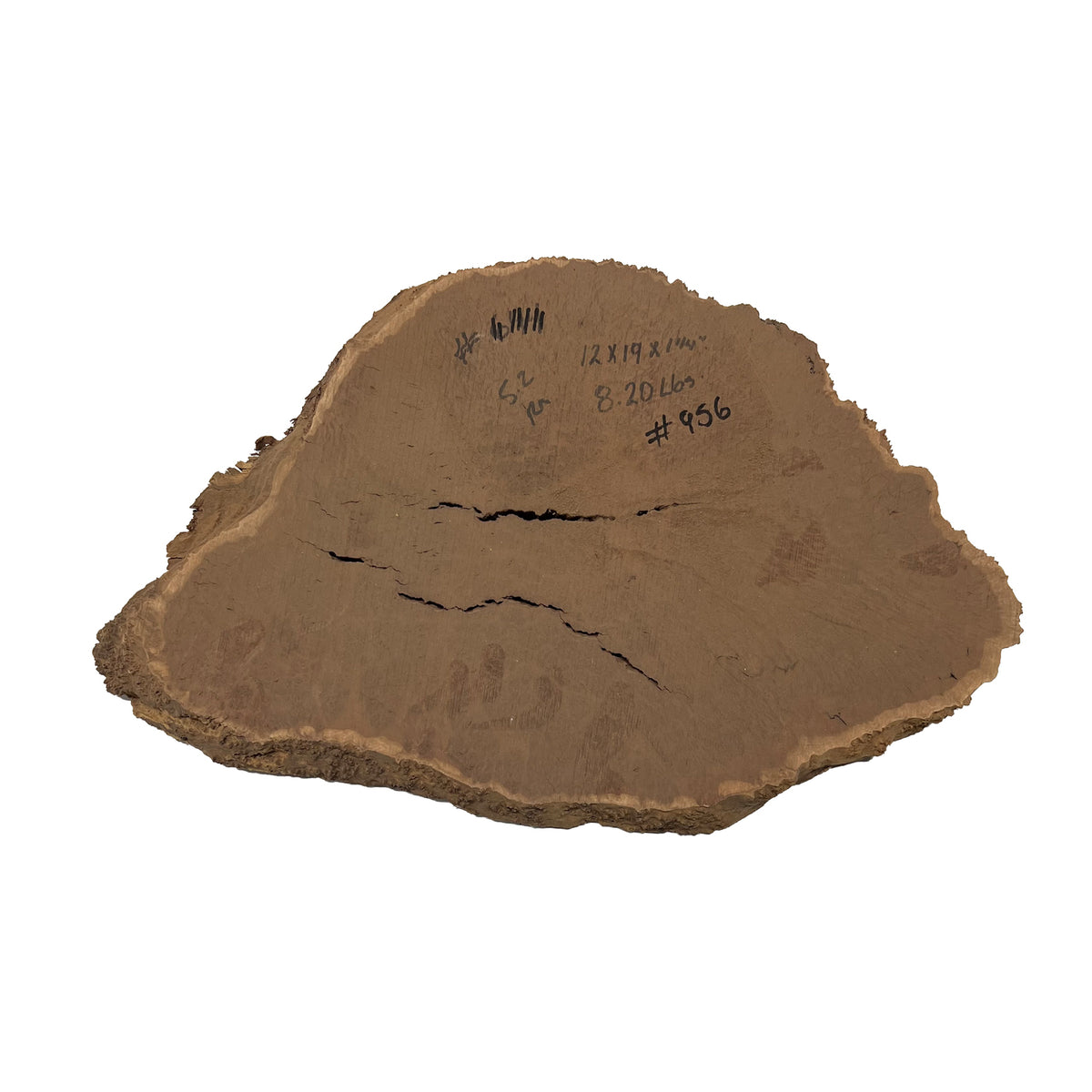 Red Mallee Burl Cookies 12" x 19" x 1-1/4" | 8.2 lbs - #956 - Exotic Wood Zone - Buy online Across USA 