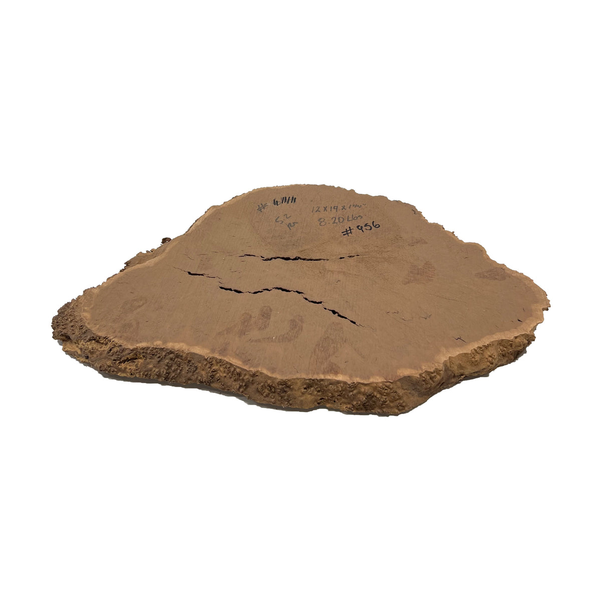 Red Mallee Burl Cookies 12" x 19" x 1-1/4" | 8.2 lbs - #956 - Exotic Wood Zone - Buy online Across USA 