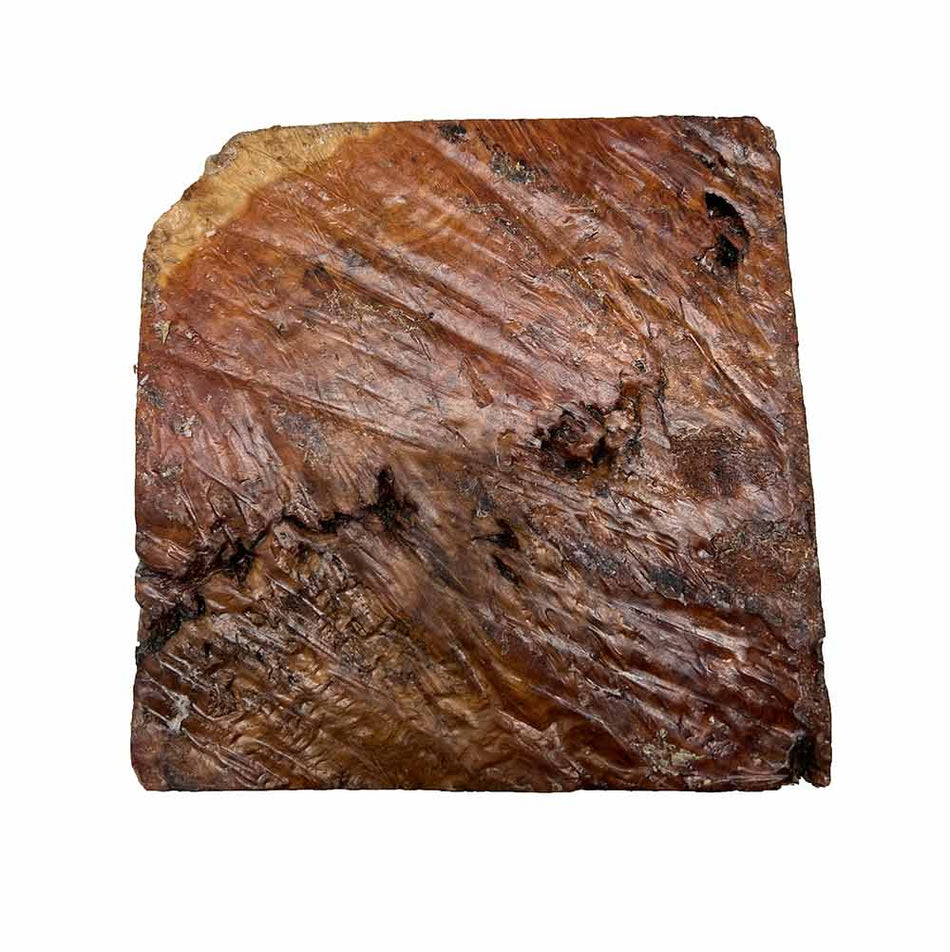 Red Mallee Burl Bowl Blank 6" x 6" x 3" Inches  #308 - Exotic Wood Zone - Buy online Across USA 