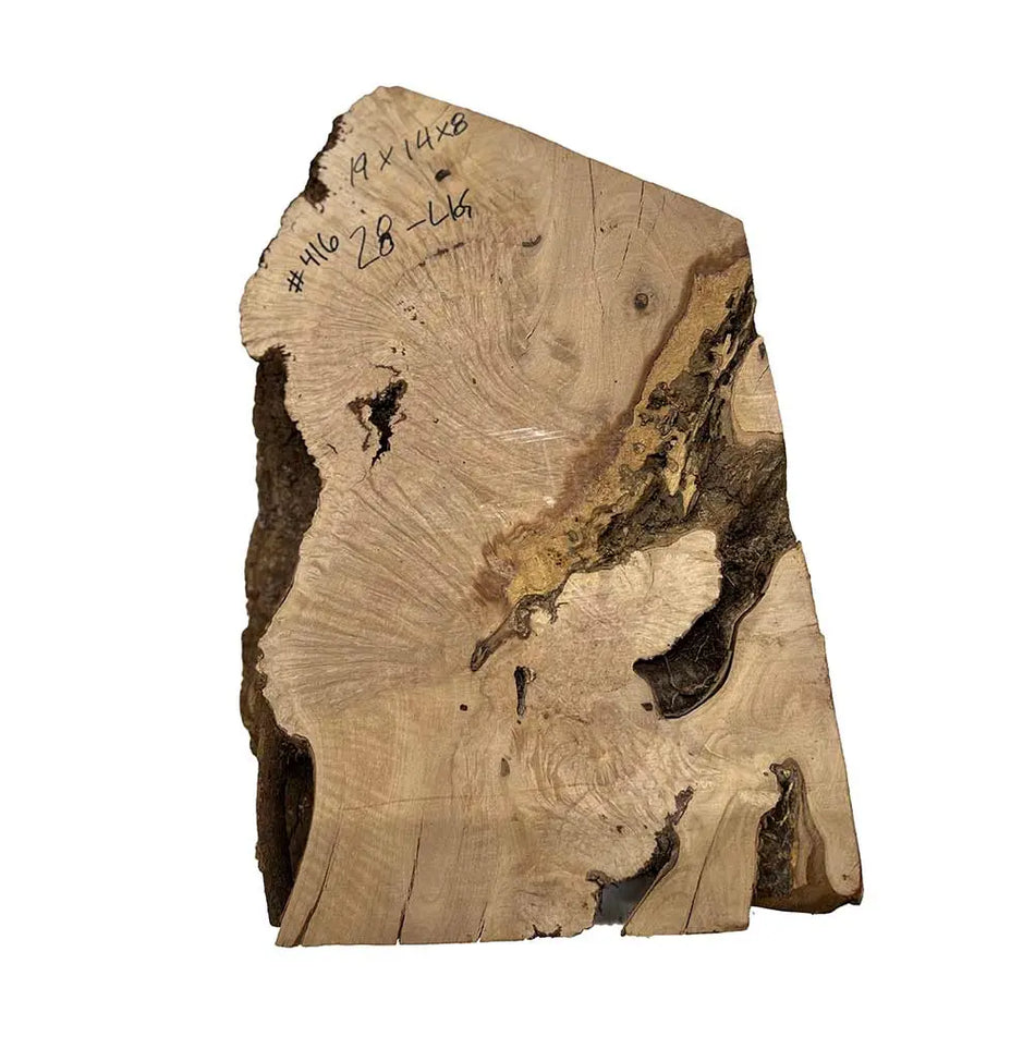 Kaniste Burl  19" x 14" x 8" , 28 lbs |  #416 - Exotic Wood Zone - Buy online Across USA 