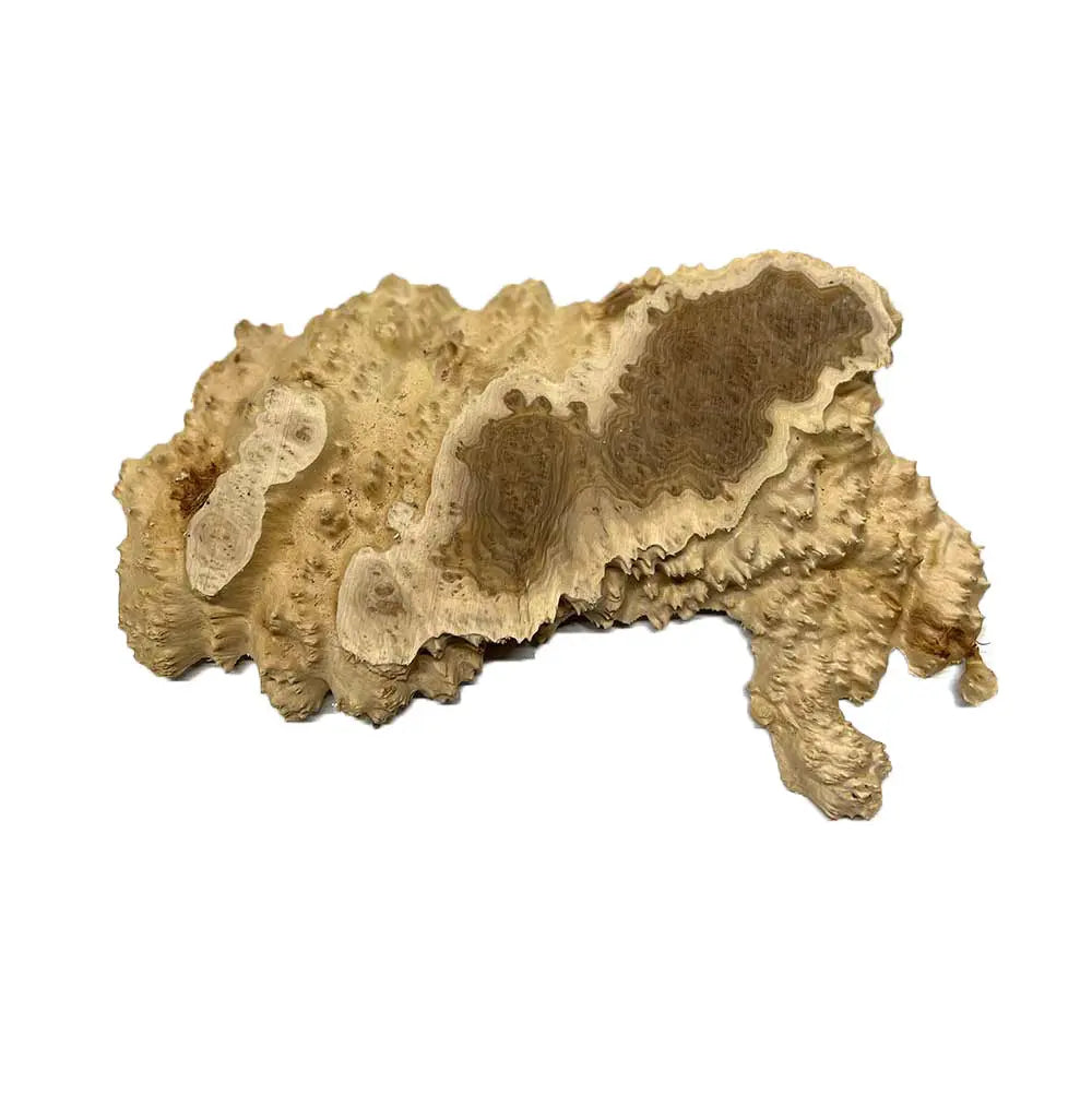 Brown Mallee Burl Cookies 5" x 13" x 1" , 3 lbs |  #513 - Exotic Wood Zone - Buy online Across USA 