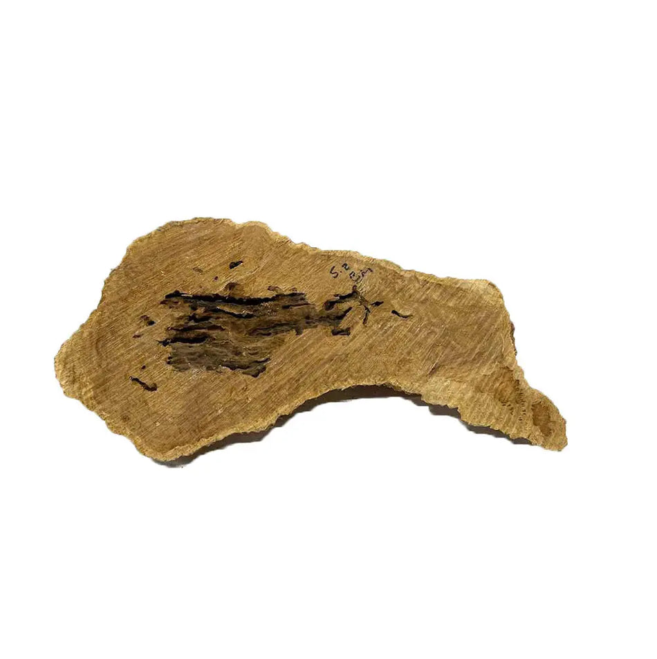 Brown Mallee Burl Cookies 7" x 16" x 1-1/4" , 5.35 lbs |  #518 - Exotic Wood Zone - Buy online Across USA 