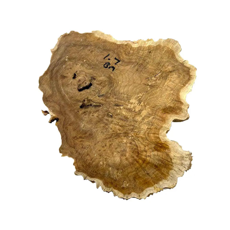 Brown Mallee Burl Cookies 5" x 6" x 1" , 2.3 lbs |  #519 - Exotic Wood Zone - Buy online Across USA 