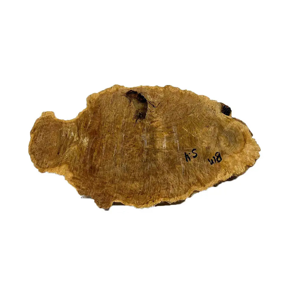 Brown Mallee Burl Cookies 8" x 13" x 1" , 5.5 lbs |  #523 - Exotic Wood Zone - Buy online Across USA 