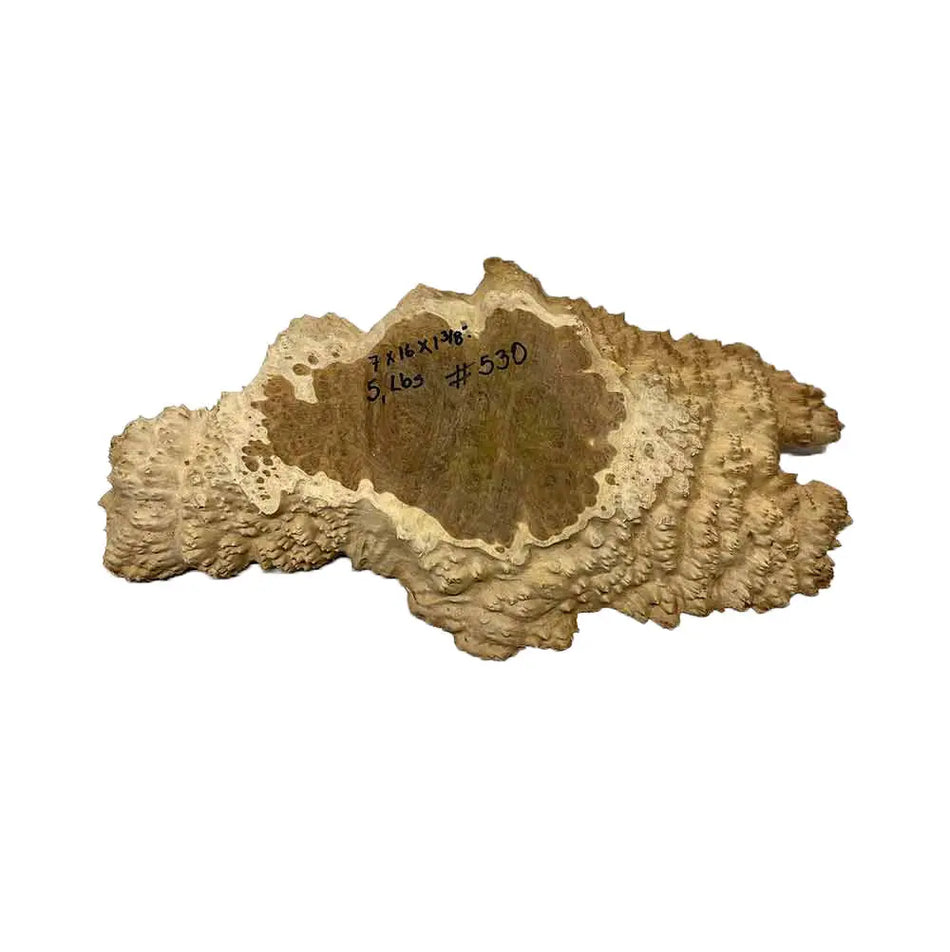 Brown Mallee Burl Cookies 7" x 16" x 1-3/8" , 5 lbs |  #530 - Exotic Wood Zone - Buy online Across USA 