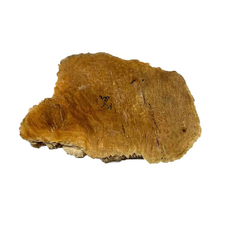 Brown Mallee Burl Cookies 8" x 11" x 1-1/4" , 5 lbs |  #535 - Exotic Wood Zone - Buy online Across USA 