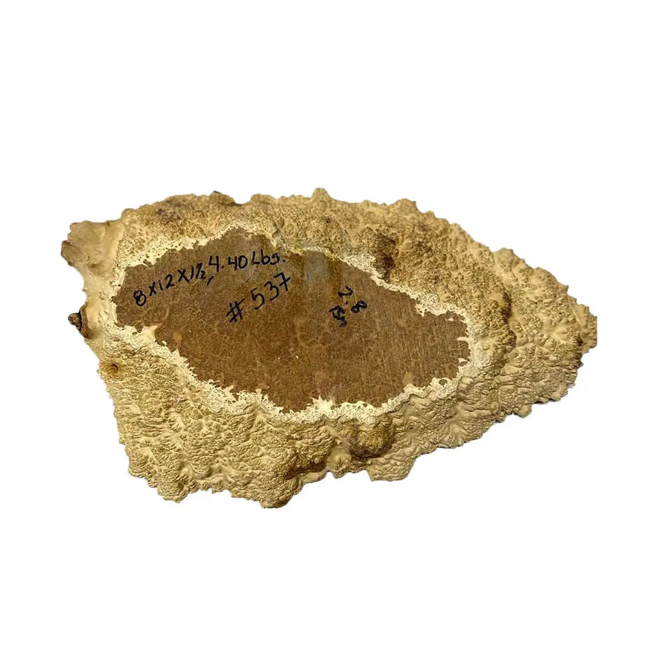 Brown Mallee Burl Cookies 8" x 12" x 1-1/2" , 4.4 lbs |  #537 - Exotic Wood Zone - Buy online Across USA 