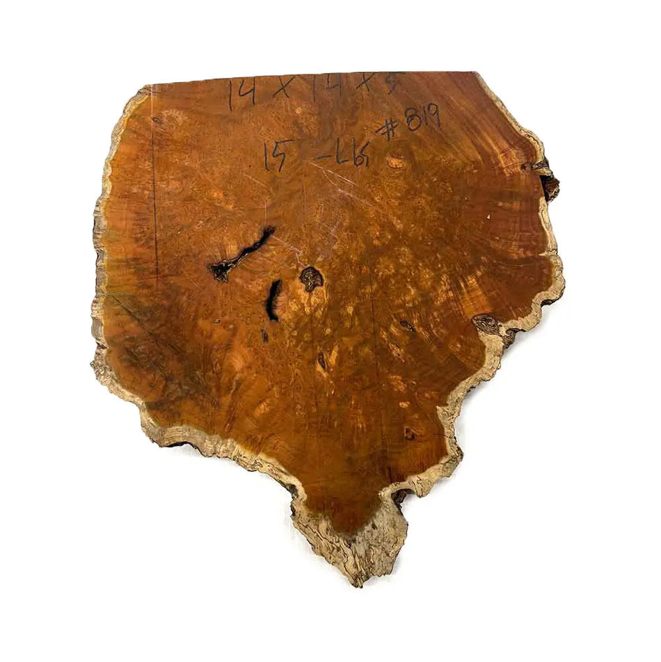 Paela/Chakte Viga Burl Cap/Bowl  14" x 14" x 5" | 15 lbs |  #819 - Exotic Wood Zone - Buy online Across USA 