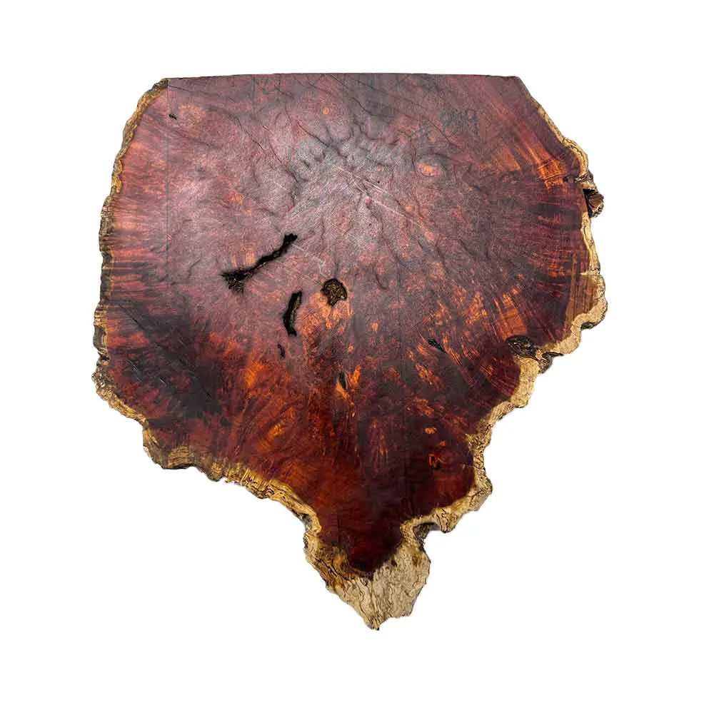 Paela/Chakte Viga Burl Cap/Bowl  14" x 14" x 5" | 15 lbs |  #819 - Exotic Wood Zone - Buy online Across USA 