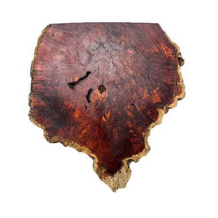 Paela/Chakte Viga Burl Cap/Bowl  14" x 14" x 5" | 15 lbs |  #819 - Exotic Wood Zone - Buy online Across USA 