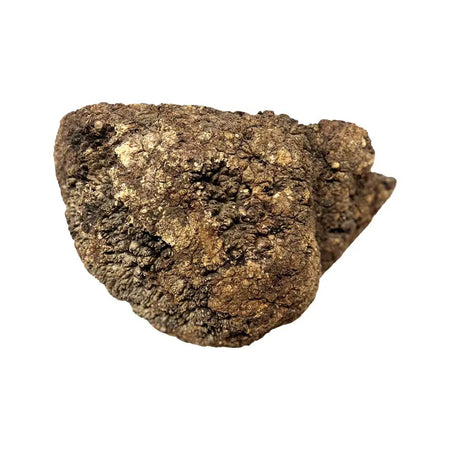 Chechen Burl Cap 17"x 9"x 8", 17 Lbs |  #623 - Exotic Wood Zone - Buy online Across USA 