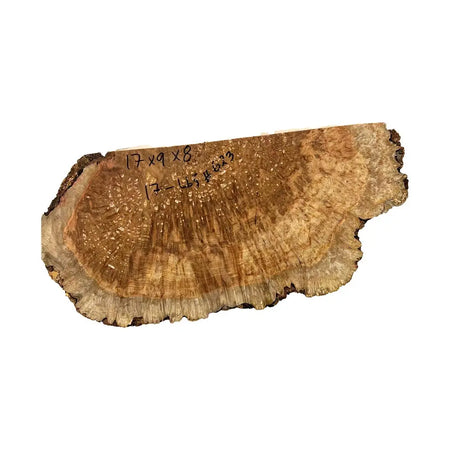 Chechen Burl Cap 17"x 9"x 8", 17 Lbs |  #623 - Exotic Wood Zone - Buy online Across USA 