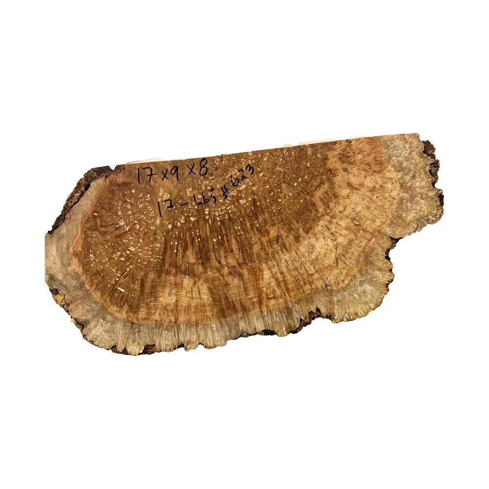 Chechen Burl Cap 17"x 9"x 8", 17 Lbs |  #623 - Exotic Wood Zone - Buy online Across USA 