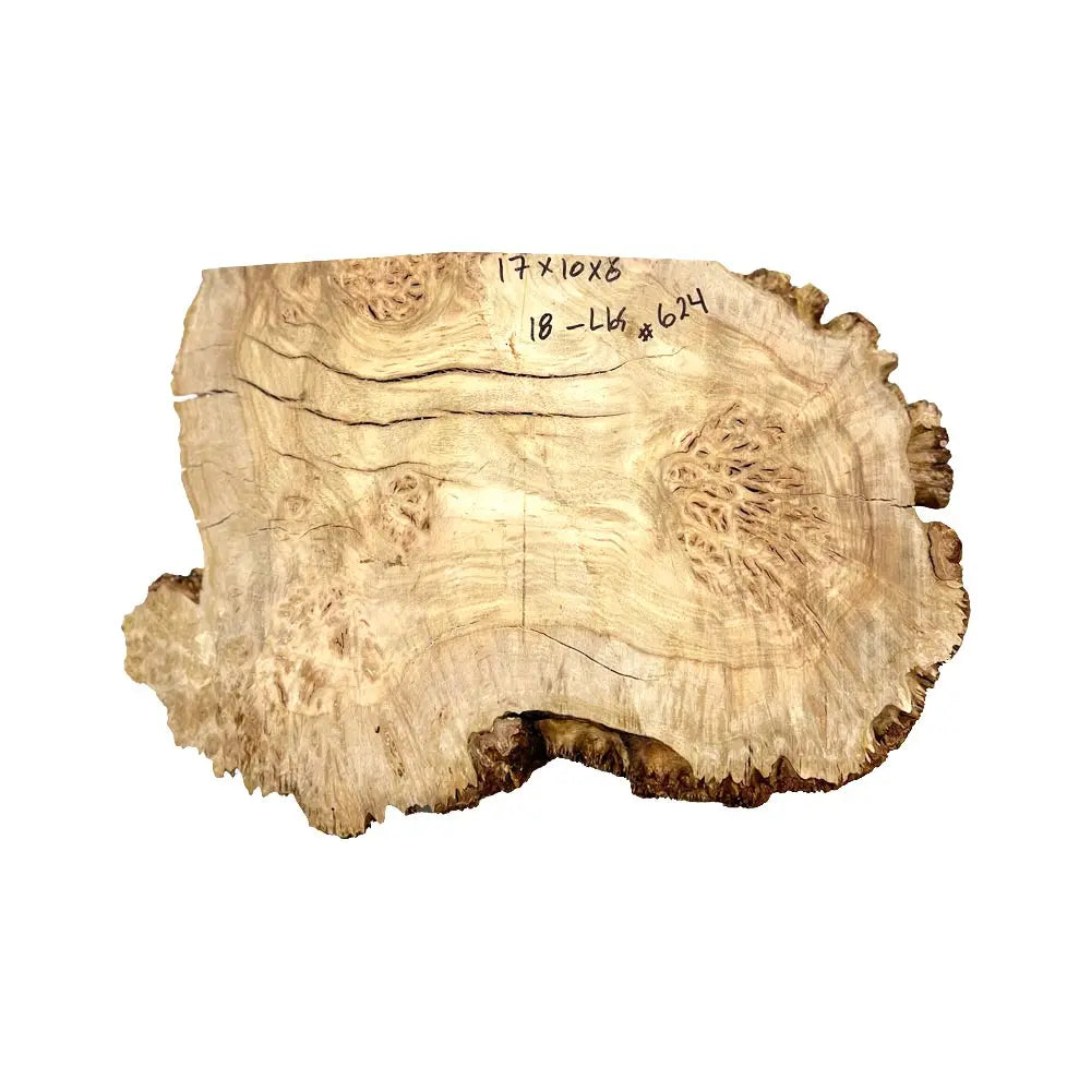 Chechen Burl Cap 17"x 10"x 6", 18 Lbs |  #624 - Exotic Wood Zone - Buy online Across USA 