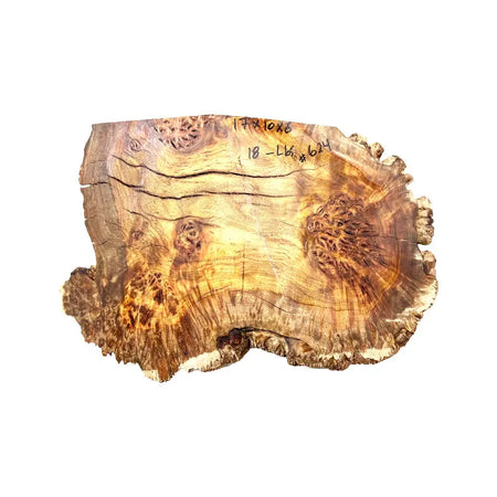 Chechen Burl Cap 17"x 10"x 6", 18 Lbs |  #624 - Exotic Wood Zone - Buy online Across USA 