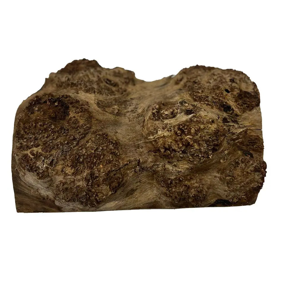 Chechen Burl Cap 14"x9"x2"	5.00 lbs |  #547 - Exotic Wood Zone - Buy online Across USA 